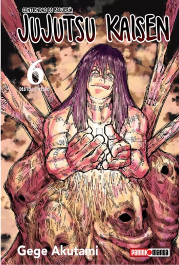 Portada Jujutsu Kaisen 6 – Panini Argentina