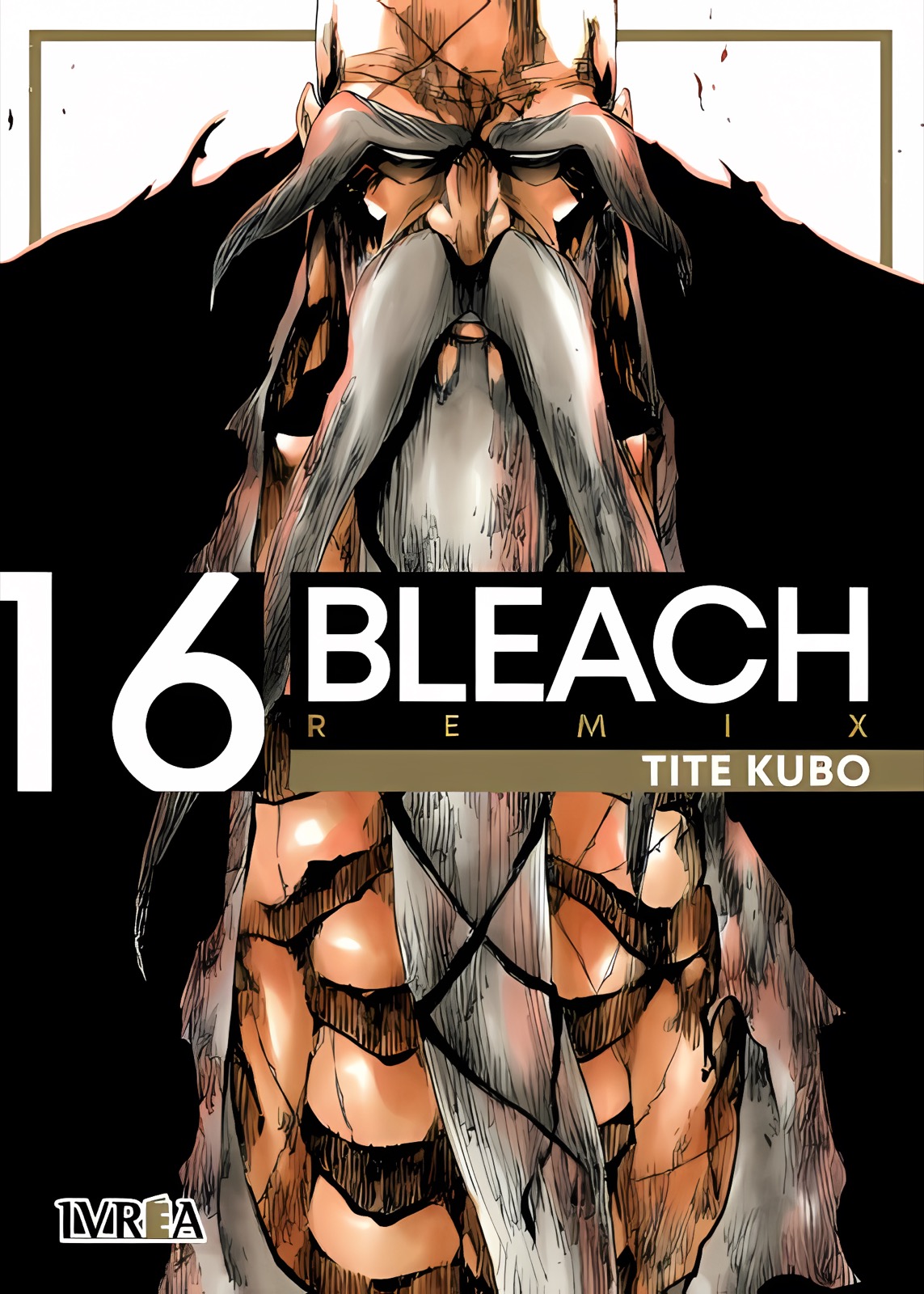 Bleach Remix 16