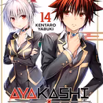 Ayakashi Triangle 14