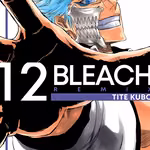 Bleach Remix 12