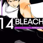 Bleach Remix 14