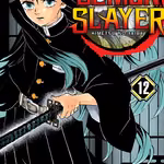 Demon Slayer 12