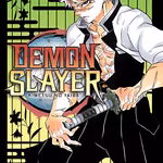 Demon Slayer 17