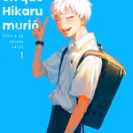 El verano que Hikaru murió 01