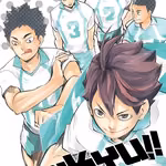 Haikyuu!! 17