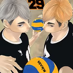 Haikyuu!! 29