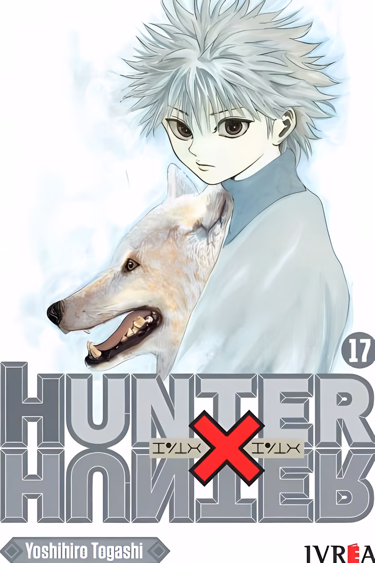 Hunter X Hunter 17 - Manga y Comics Akibara Hunter X Hunter 17