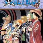 One Piece 022