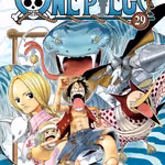 One Piece 029