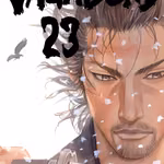 Vagabond 23
