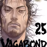 Vagabond 25